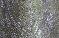 Bishops Hull fibreglass roof work